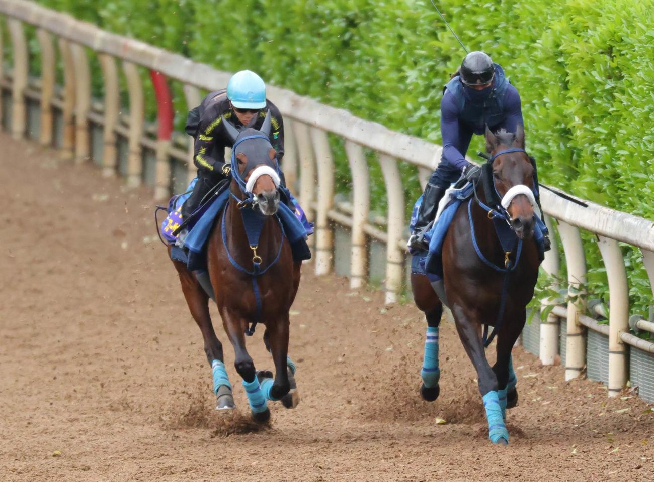 坂路コースを菅原明良騎手を背にディクテオンと併せで追い切るブローザホーン（左）