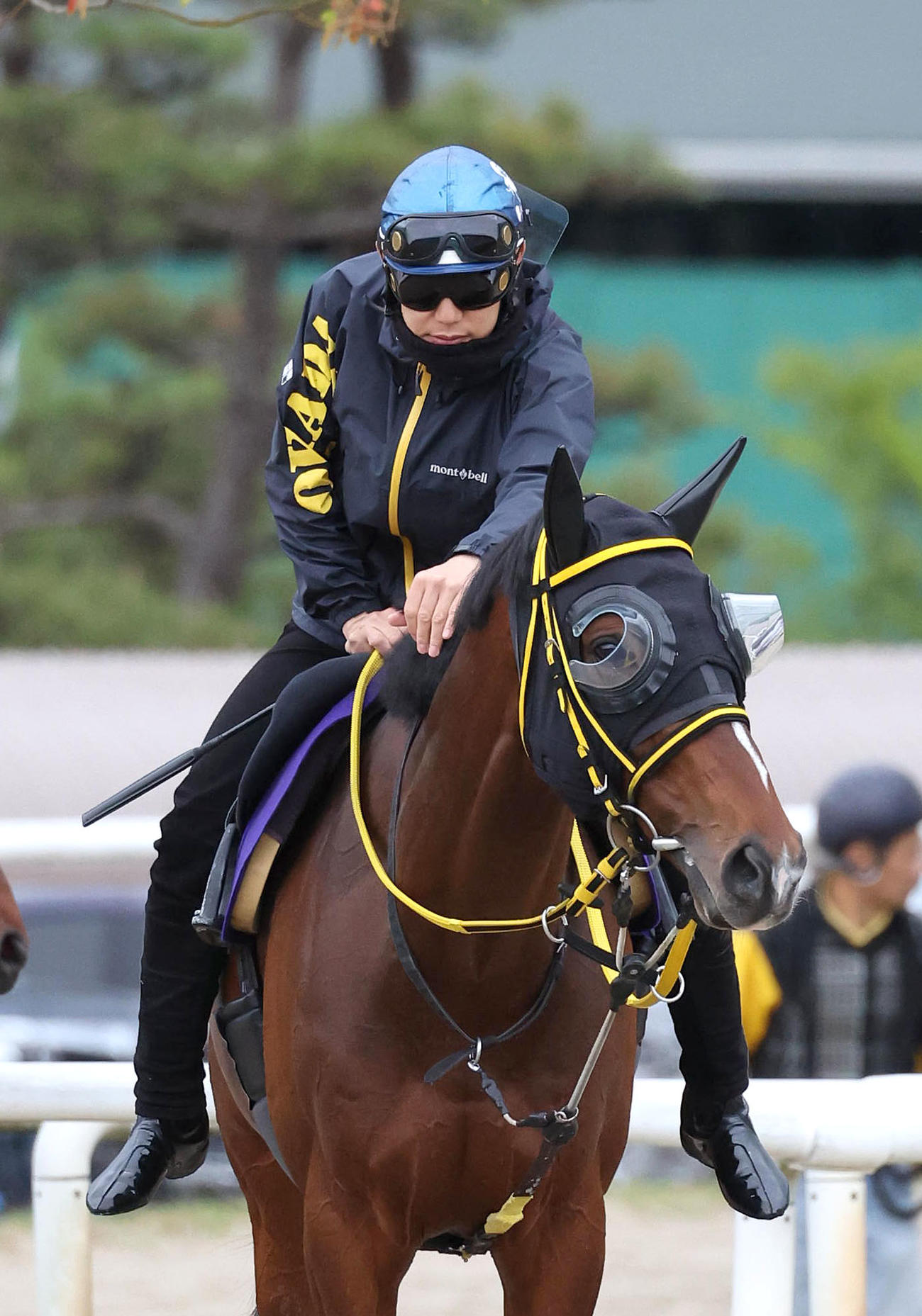菱田騎手を背にスタンド前で運動するテーオーロイヤル（撮影・白石智彦）