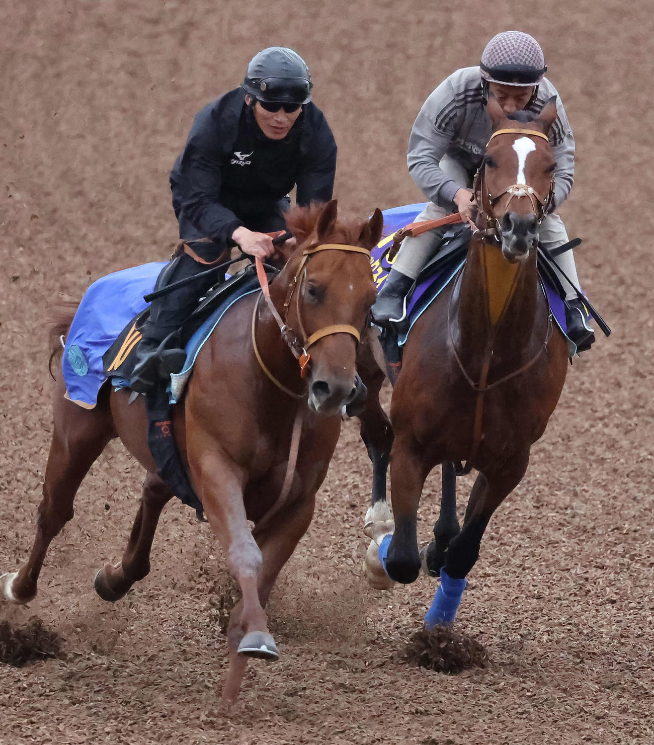 チャックネイト（右）は美浦ウッドでエコロカイザーと併せて追い切られた（撮影・丹羽敏通）