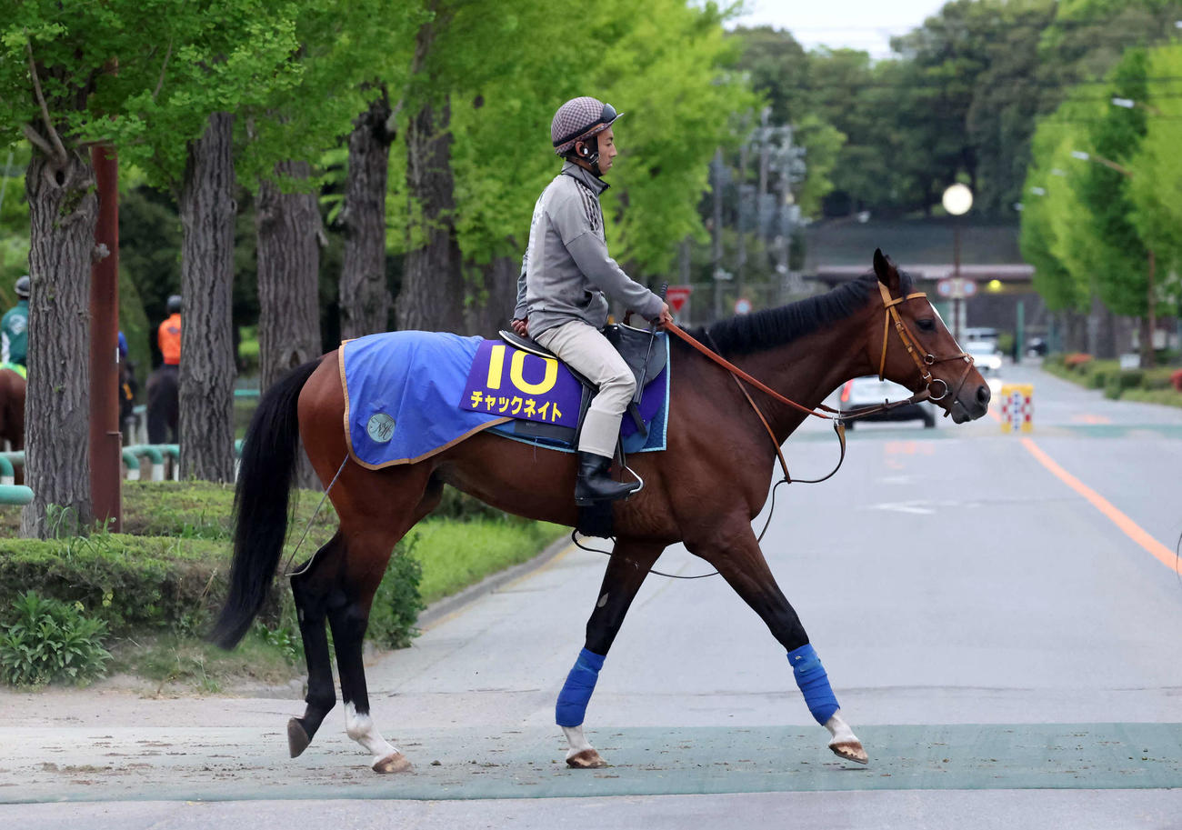 馬場へ向かうチャックネイト（撮影・丹羽敏通）