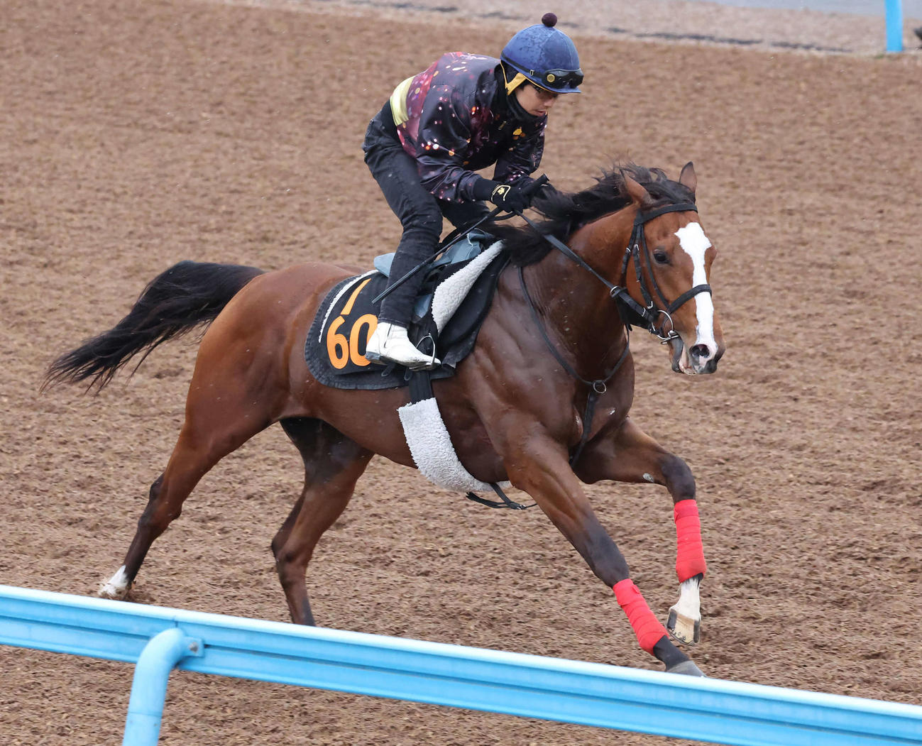 ウインマクシマムは松岡騎手を背に美浦ウッドを単走で追い切られた（撮影・丹羽敏通）