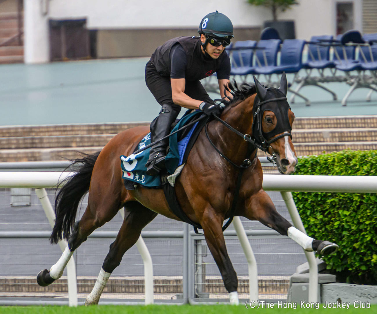 シャティン競馬場の芝で追い切ったプログノーシス