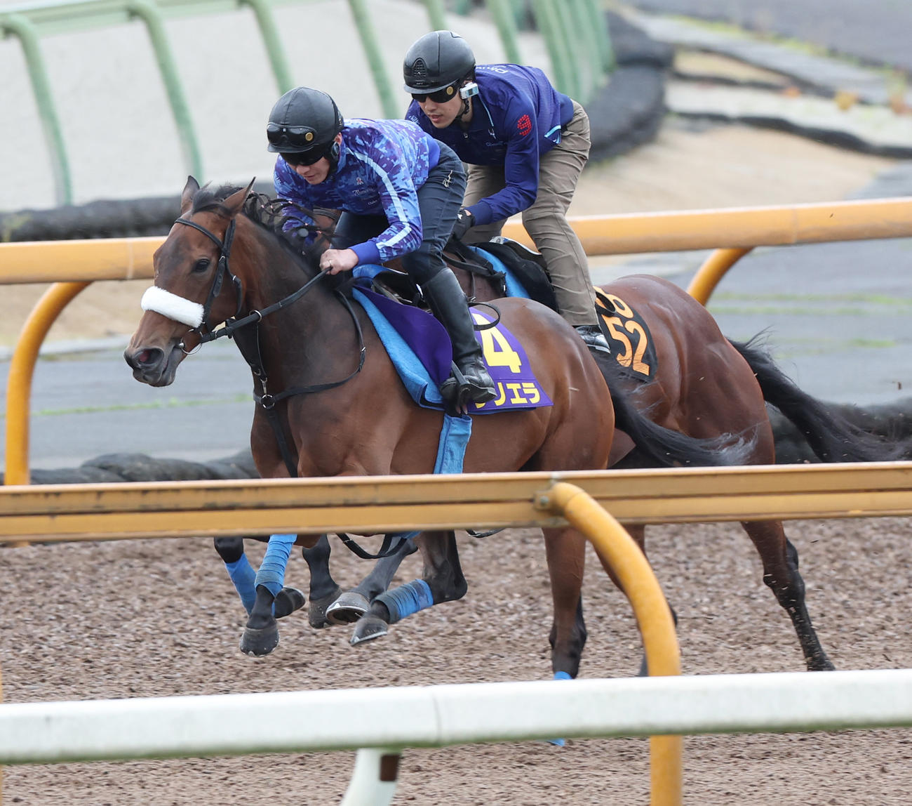CWコースにて併せ馬で追い切るサリエラ（手前）。奥はサトノエピック