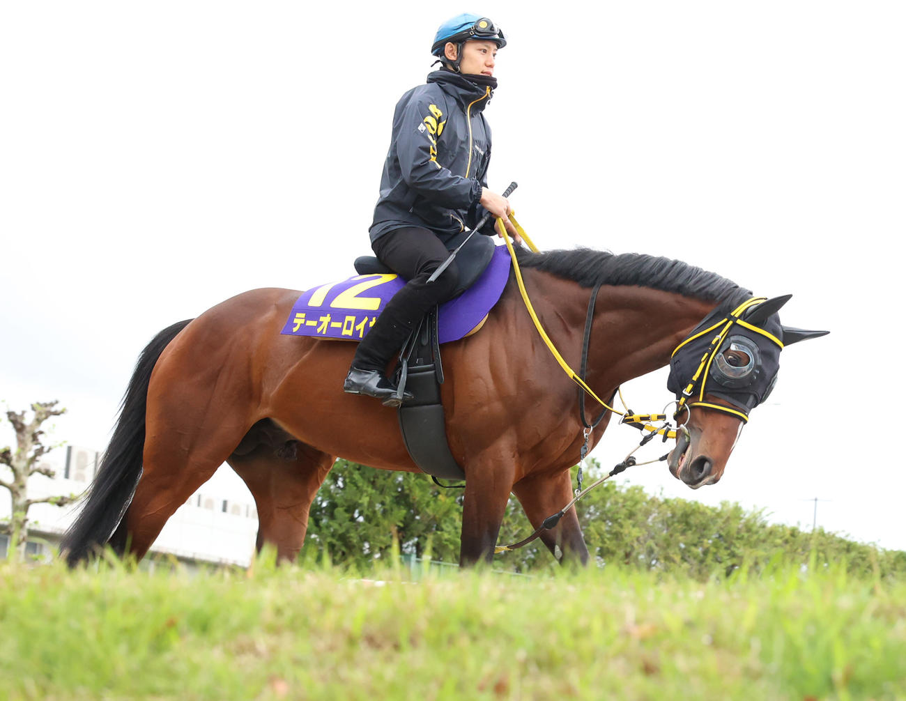 菱田騎手を背に追い切りへ向かうテーオーロイヤル　