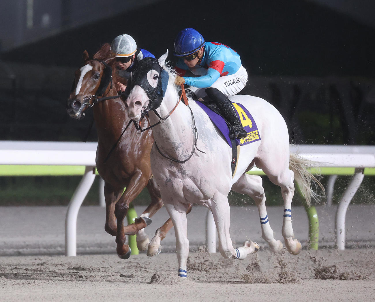 第69回羽田盃を制したアマンテビアンコと川田騎手。左はアンモシエラと横山騎手（撮影・中島郁夫）
