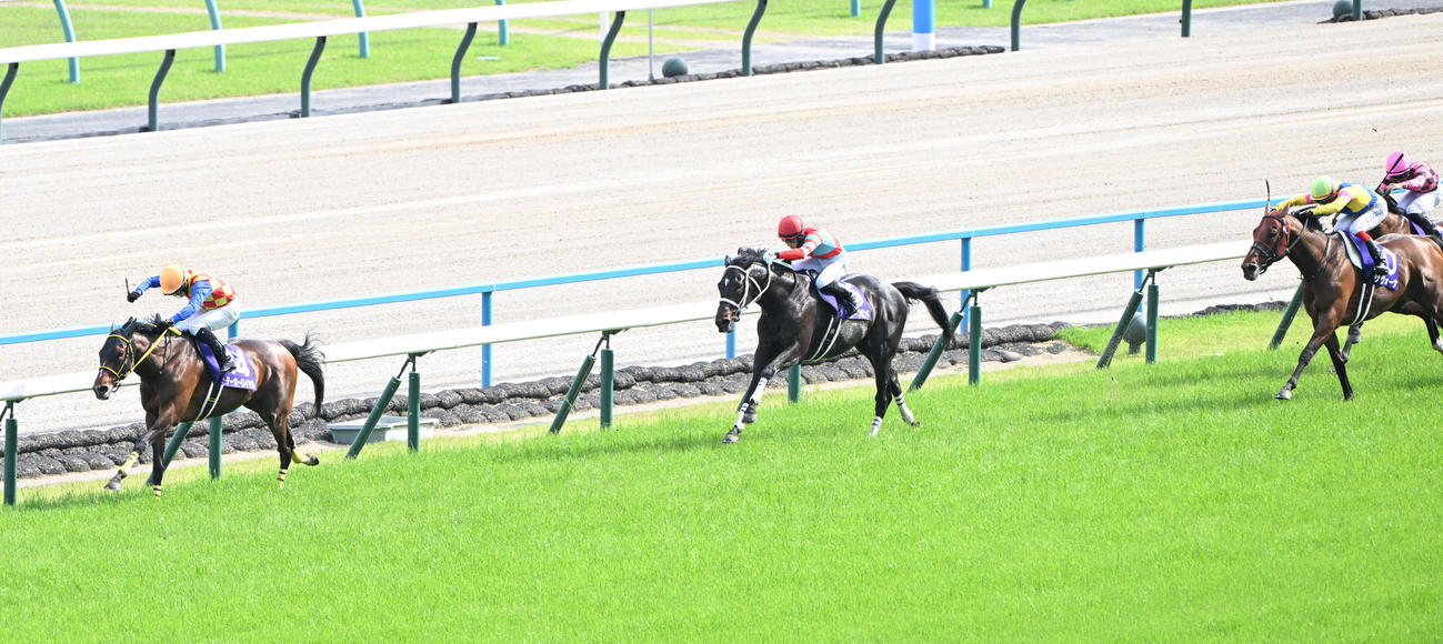 直線で抜け出し天皇賞・春を制したテーオーロイヤル（撮影・和賀正仁）