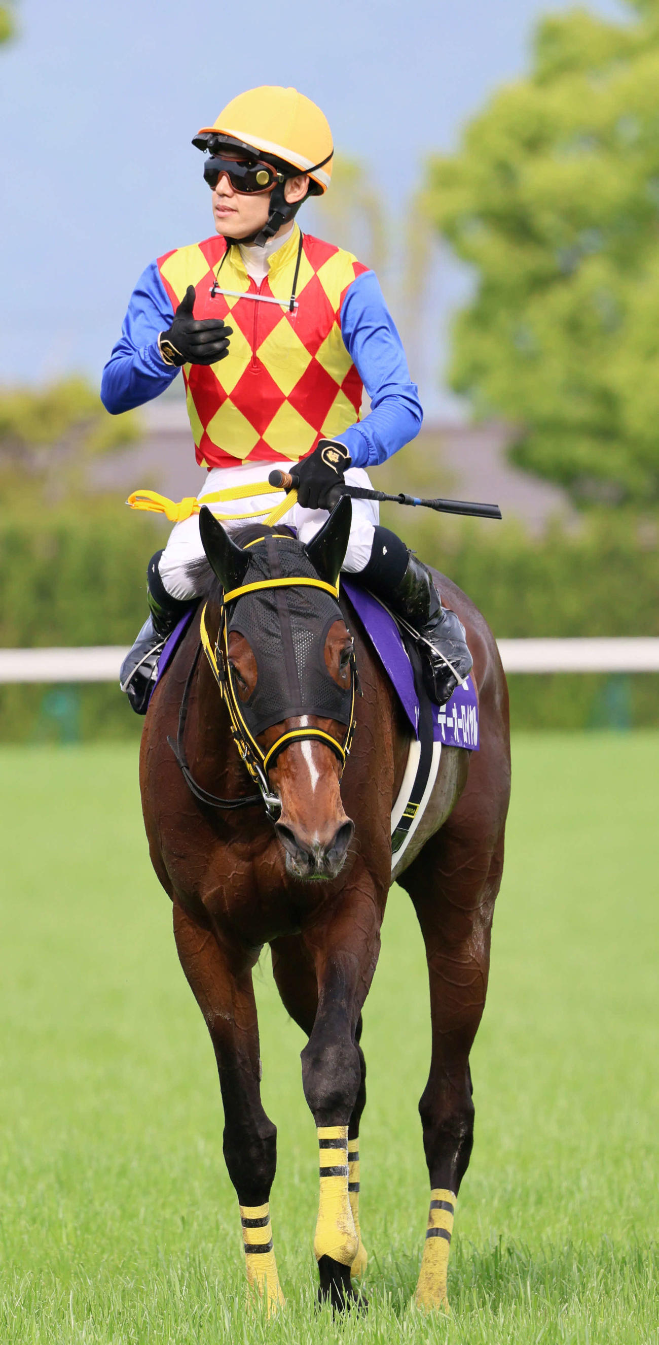 天皇賞・春をテーオーロイヤルで制しG1初制覇の菱田騎手は控えめにサムズアップポーズ（撮影・西尾就之）