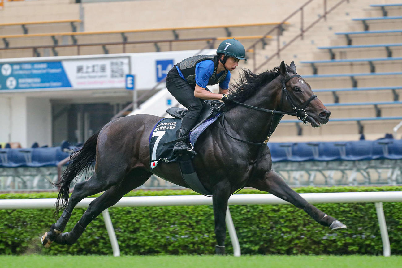 シャティン競馬場で追い切ったノースブリッジと岩田康騎手（C）The Hong Kong Jockey Club