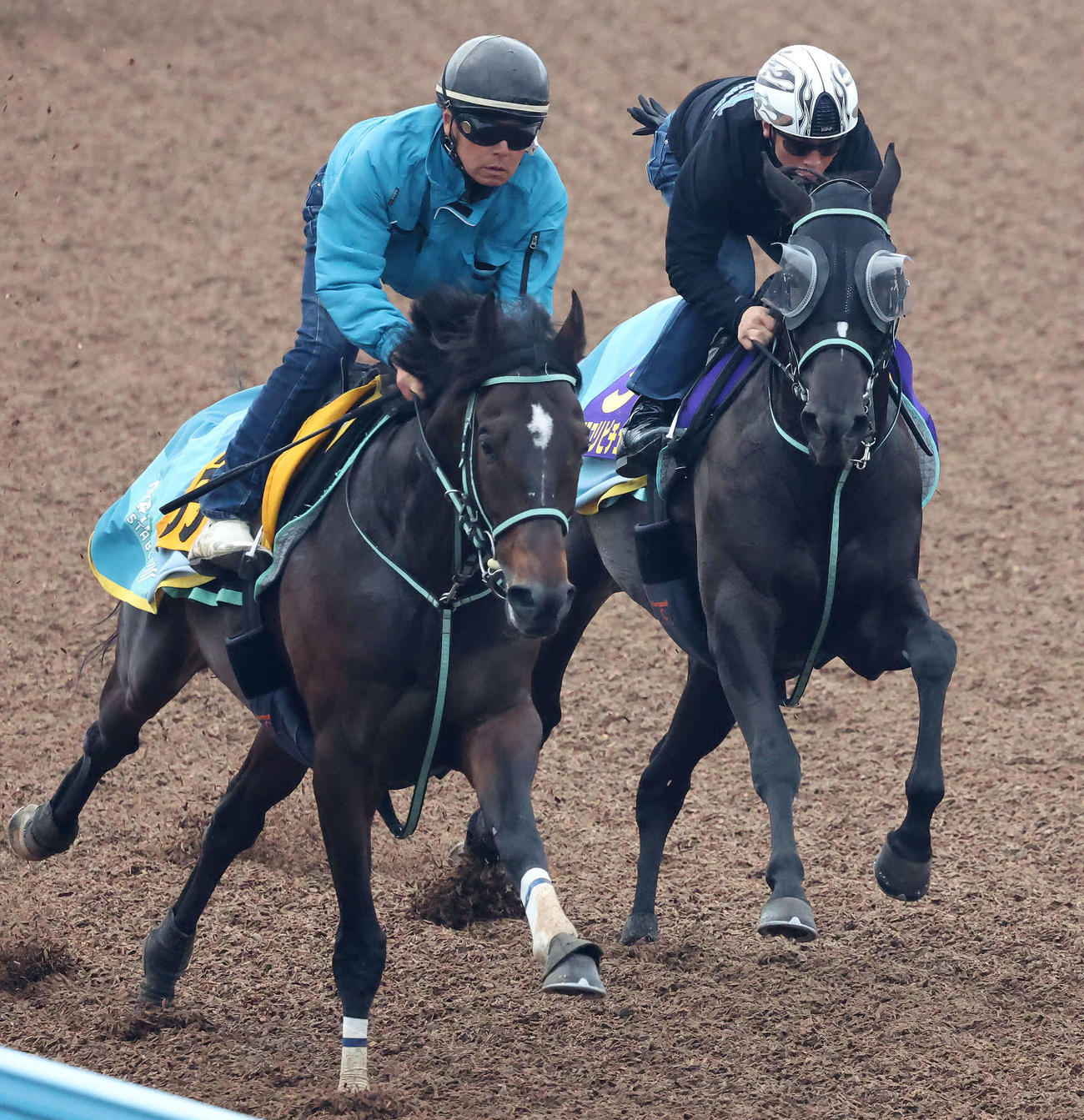 アスコリピチェーノ（右）は北村宏騎手を背に美浦ウッドでナチュラルハイと併せて追い切られた