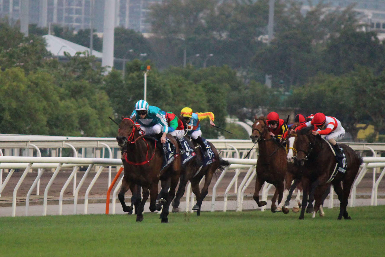 22年の香港カップを圧勝したロマンチックウォリアー