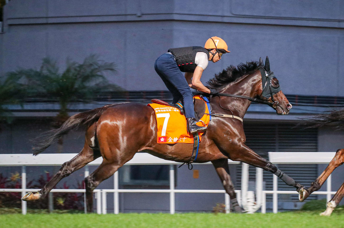 25日朝、シャティン競馬場で追い切ったゴールデンシックスティ（（C）The Hong Kong Jockey Club）