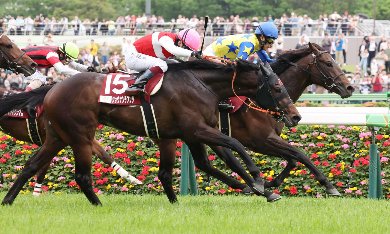 青葉賞を制したシュガークンと武豊騎手（奥）。手前は2着ショウナンラプンタ（撮影・丹羽敏通）