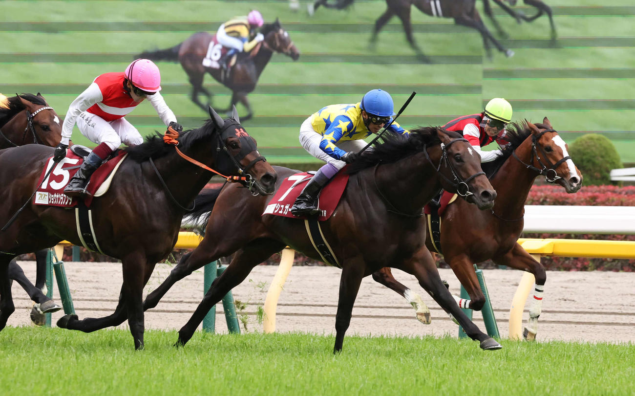 青葉賞を制したシュガークンと武豊騎手（中央）。左は2着ショウナンラプンタ（撮影・丹羽敏通）