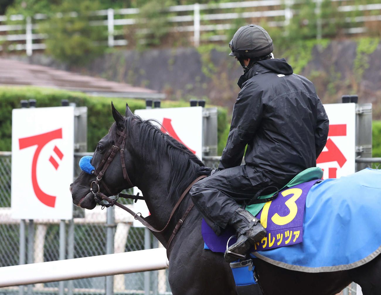 23日、坂路で調整するドゥレッツァ