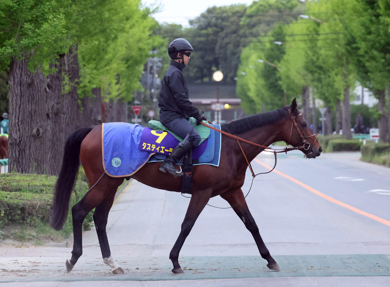 タスティエーラ（2024年4月24日撮影）