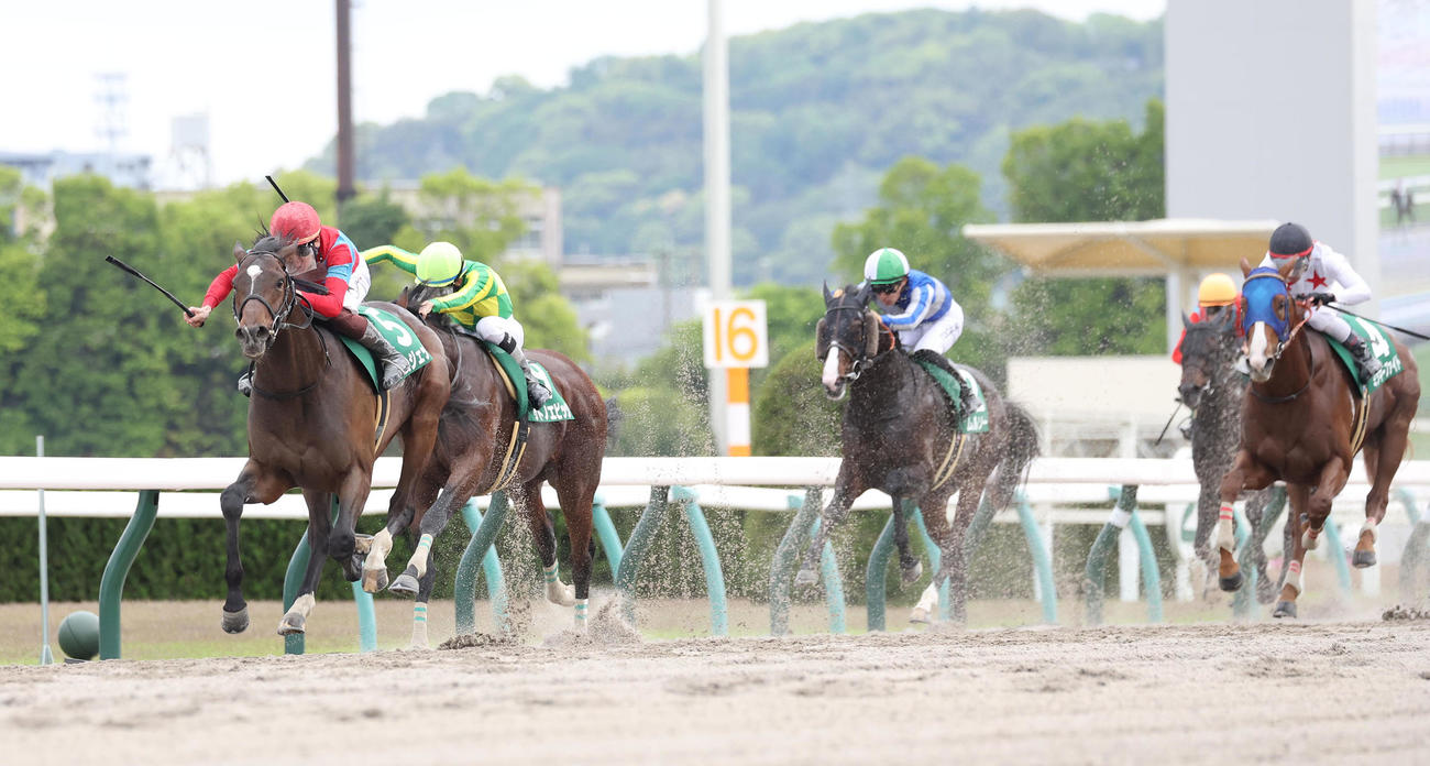 京都11R、3連勝でユニコーンSを制したラムジェット（左）（撮影・白石智彦）
