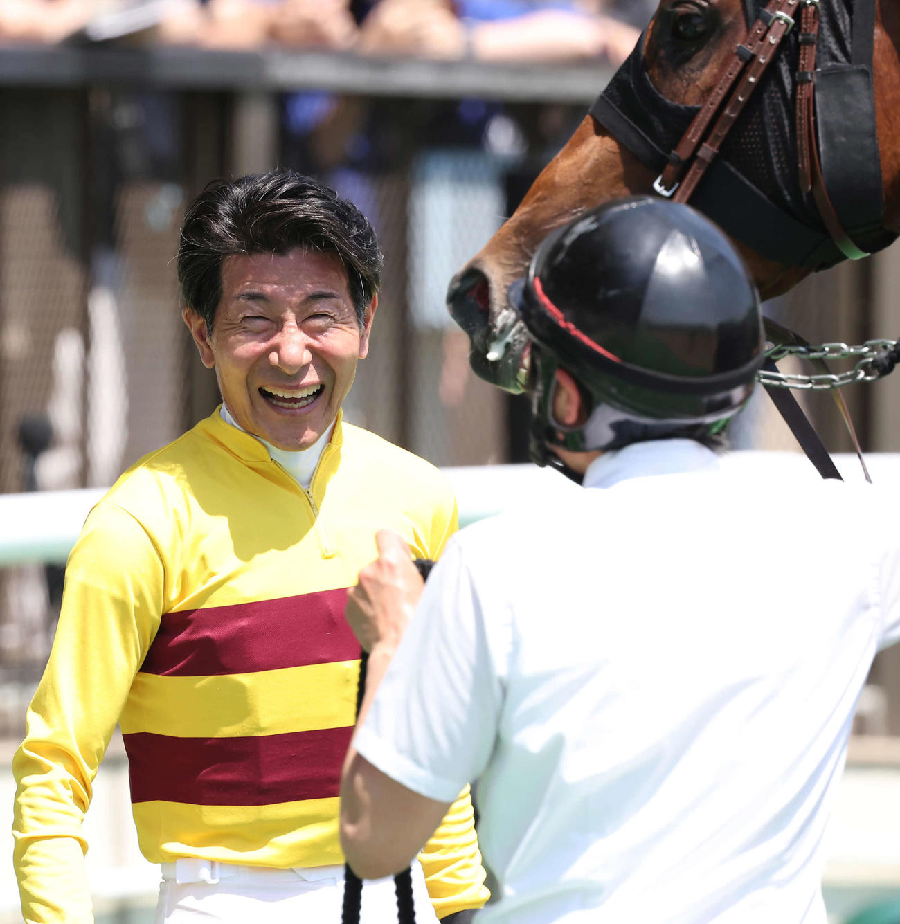 東京5R、ピースワンデュックで3歳未勝利戦を逃げ切った柴田善騎手（撮影・丹羽敏通）