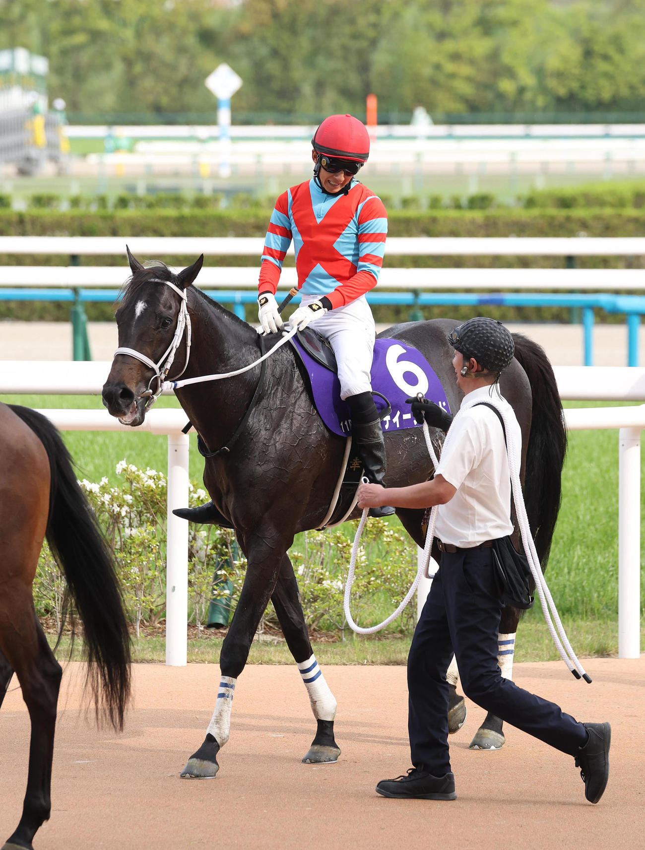 天皇賞・春、3着に敗れたディープボンド（撮影・白石智彦）