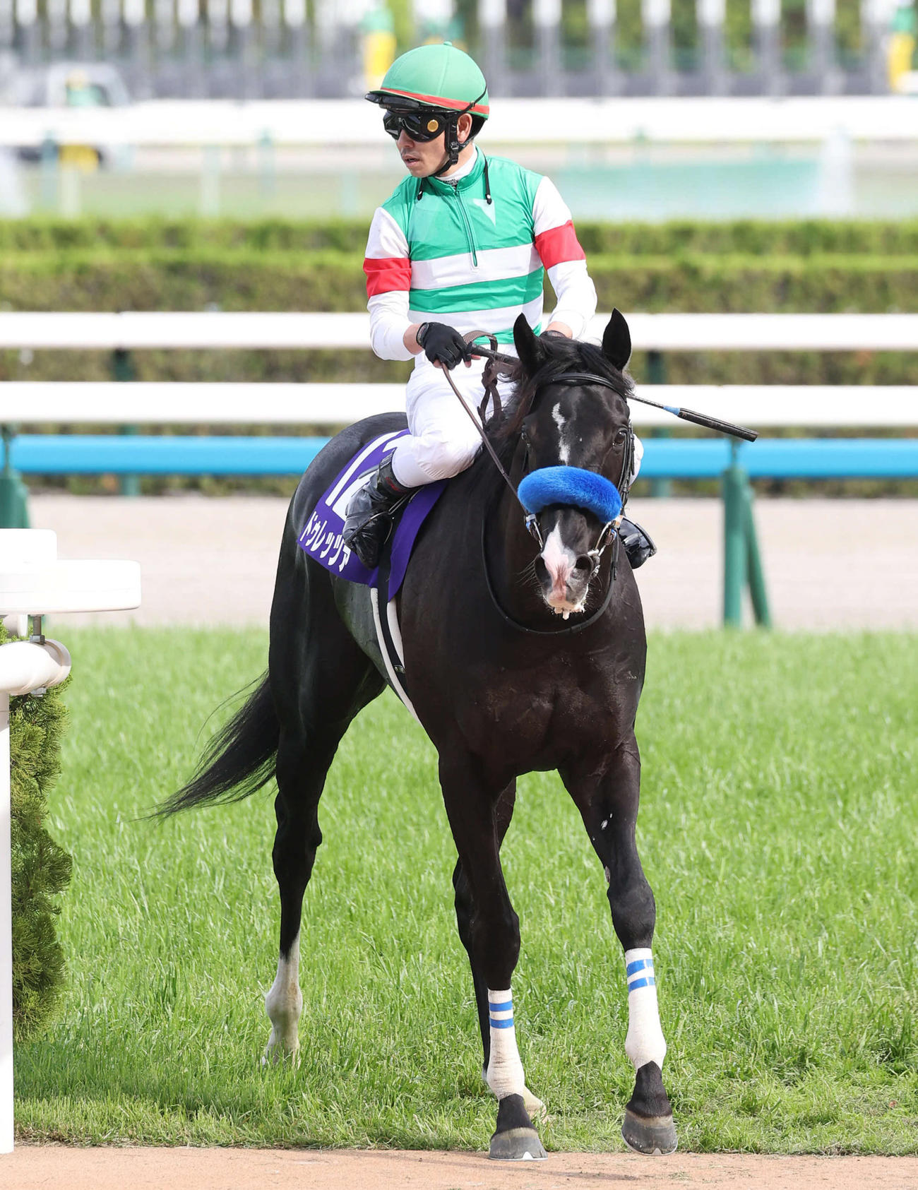 天皇賞・春15着に敗れたドゥレッツァと戸崎 騎手（撮影・白石智彦）