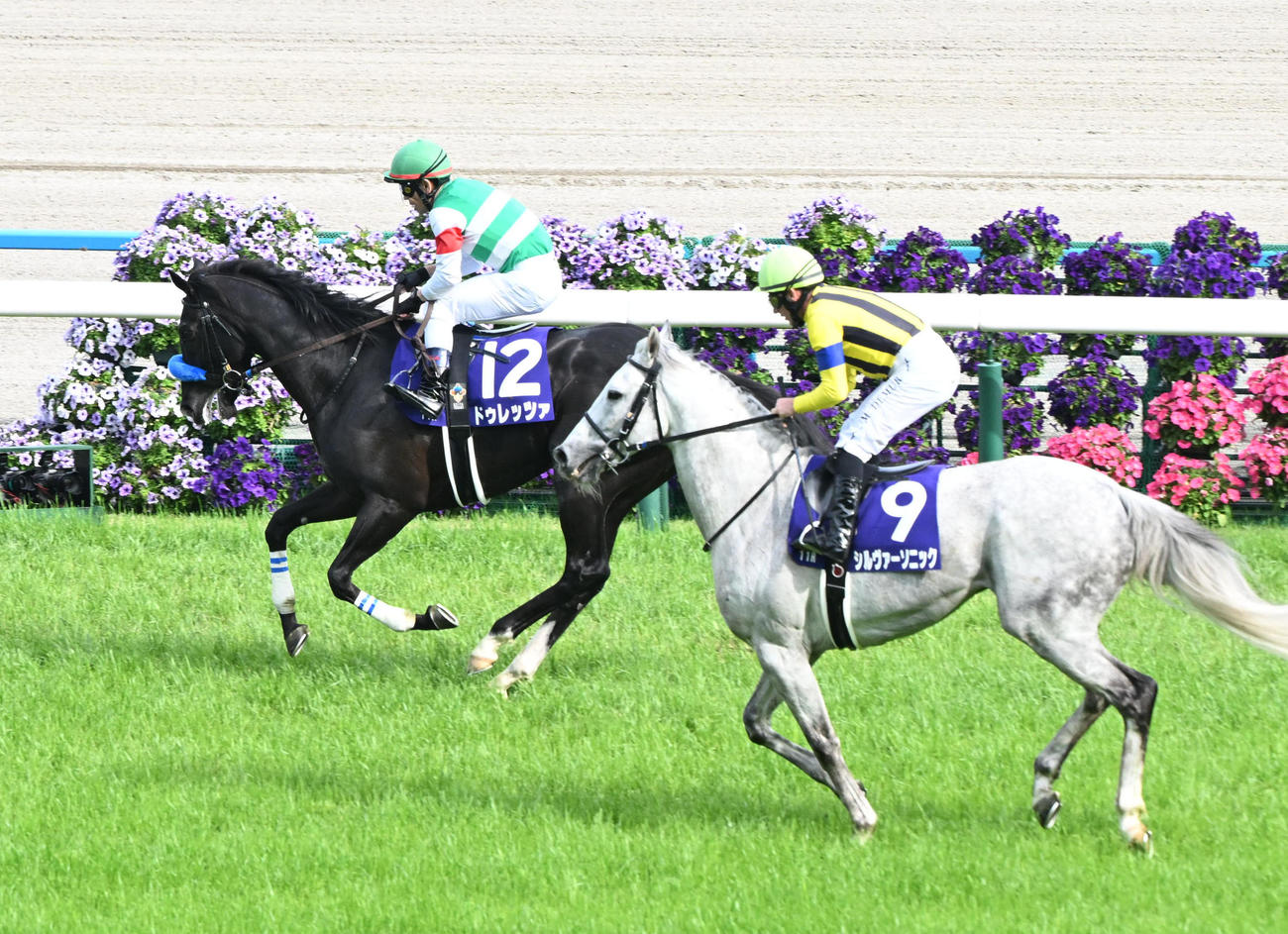 天皇賞・春15着のドゥレッツァ（左）と16着のシルヴァーソニック（撮影・和賀正仁）
