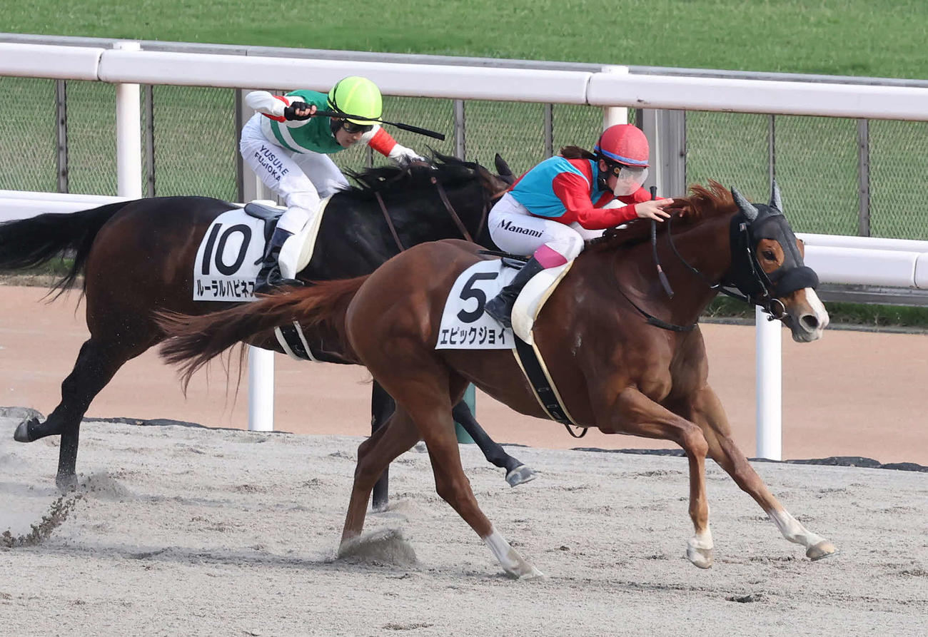 東京12Rを制したエピックジョイと永島騎手（撮影・丹羽敏通）