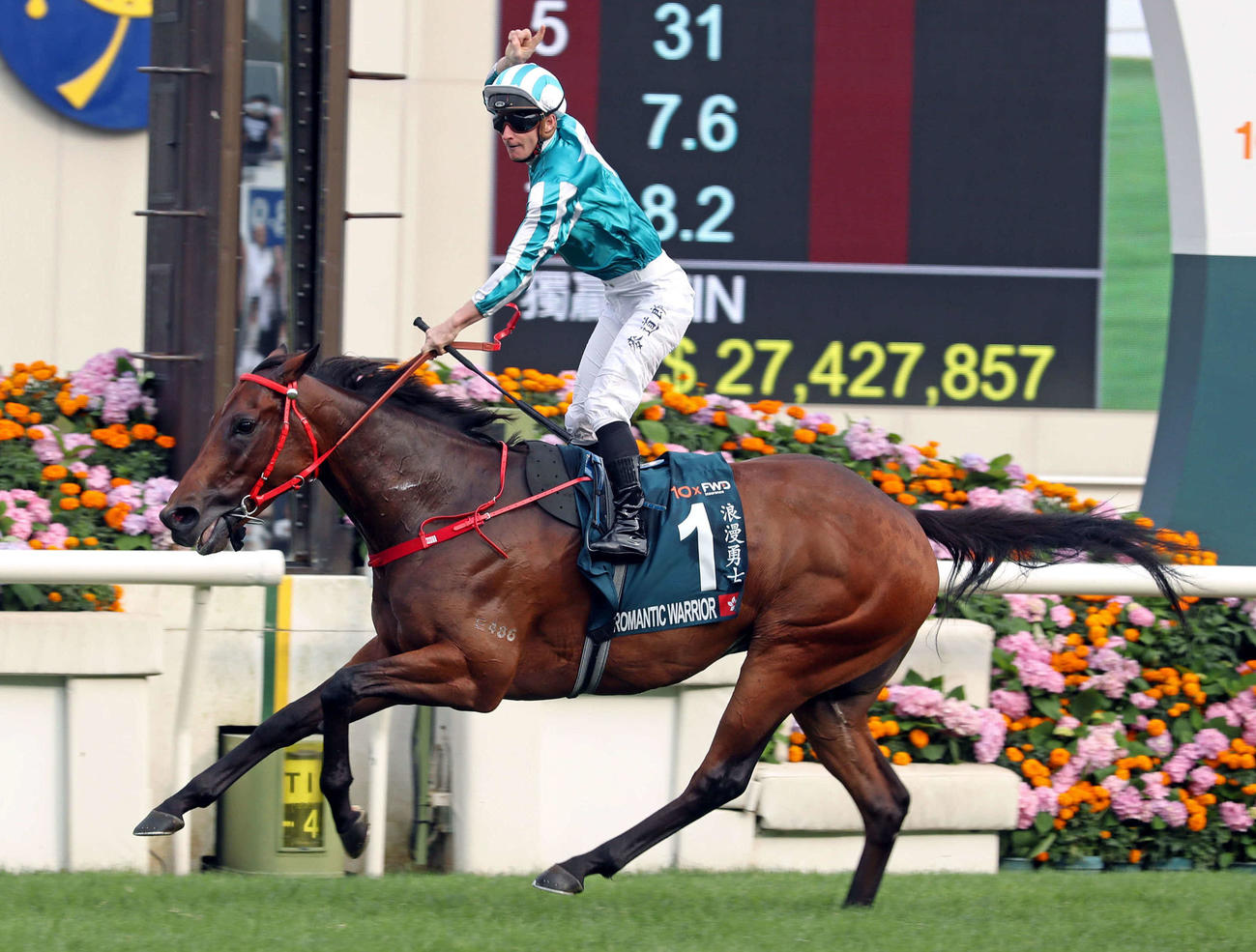ロマンチックウォリアー（（C）The Hong Kong Jockey Club）