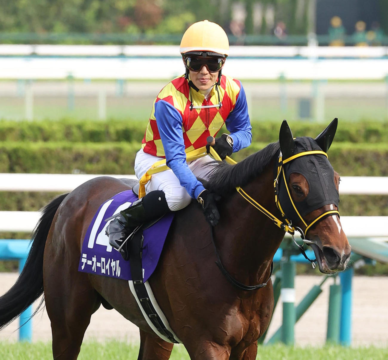天皇賞・春を制したテーオーロイヤルねぎらう菱田騎手（撮影・白石智彦）
