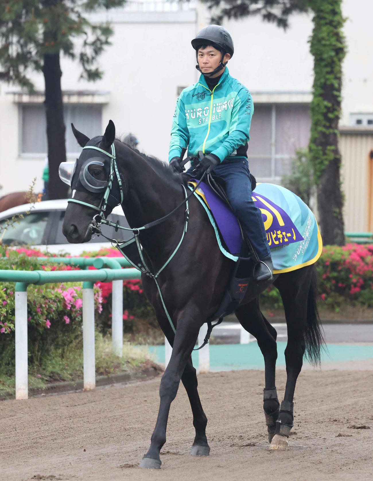 馬場へ向かうアスコリピチェーノ（2024年4月25日撮影）