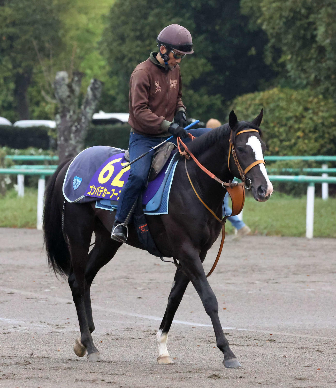 4月25日、馬場へ向かうゴンバデカーブース
