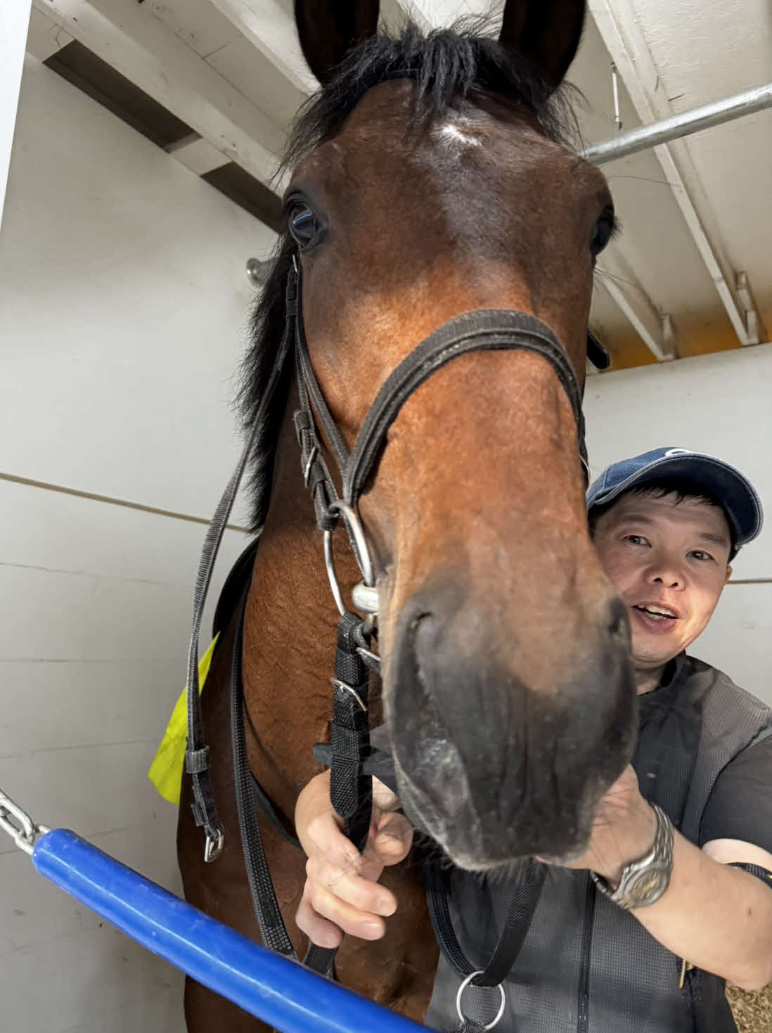 チャーチルダウンズ競馬場の馬房でリラックスした表情のテーオーパスワード（提供・木村和士騎手）