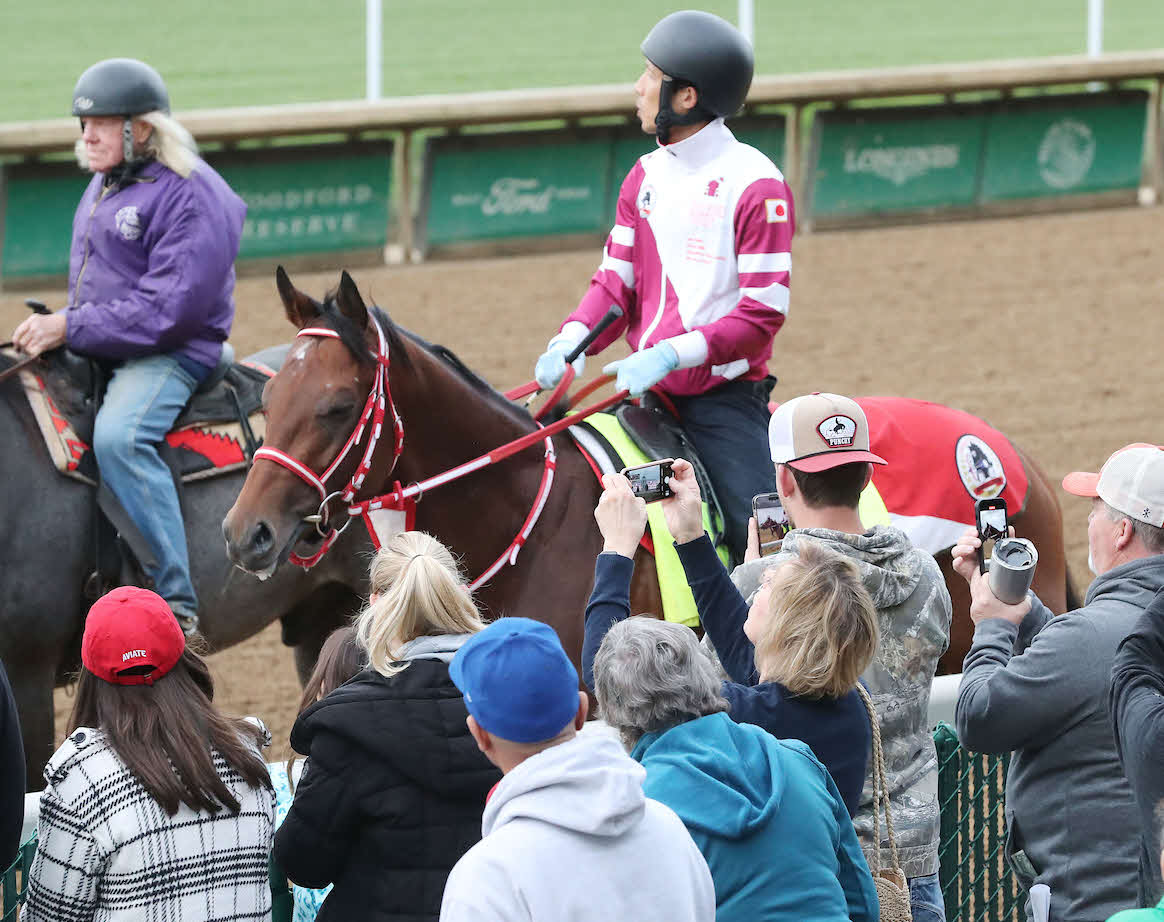 現地でも人気が高いフォーエバーヤング（C）Coady Media／Churchill Downs