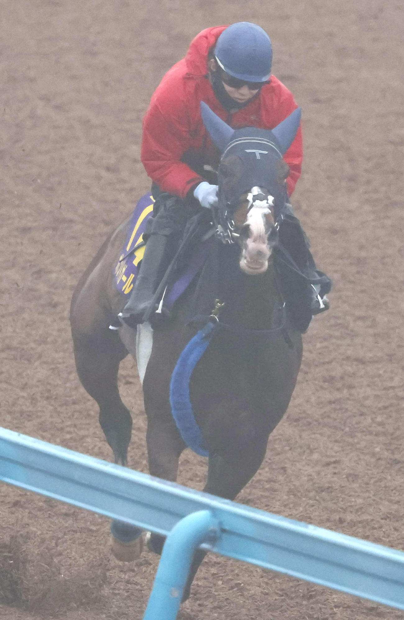 ボンドガールは嶋田騎手を背に美浦ウッドを単走で追い切られた（撮影・丹羽敏通）