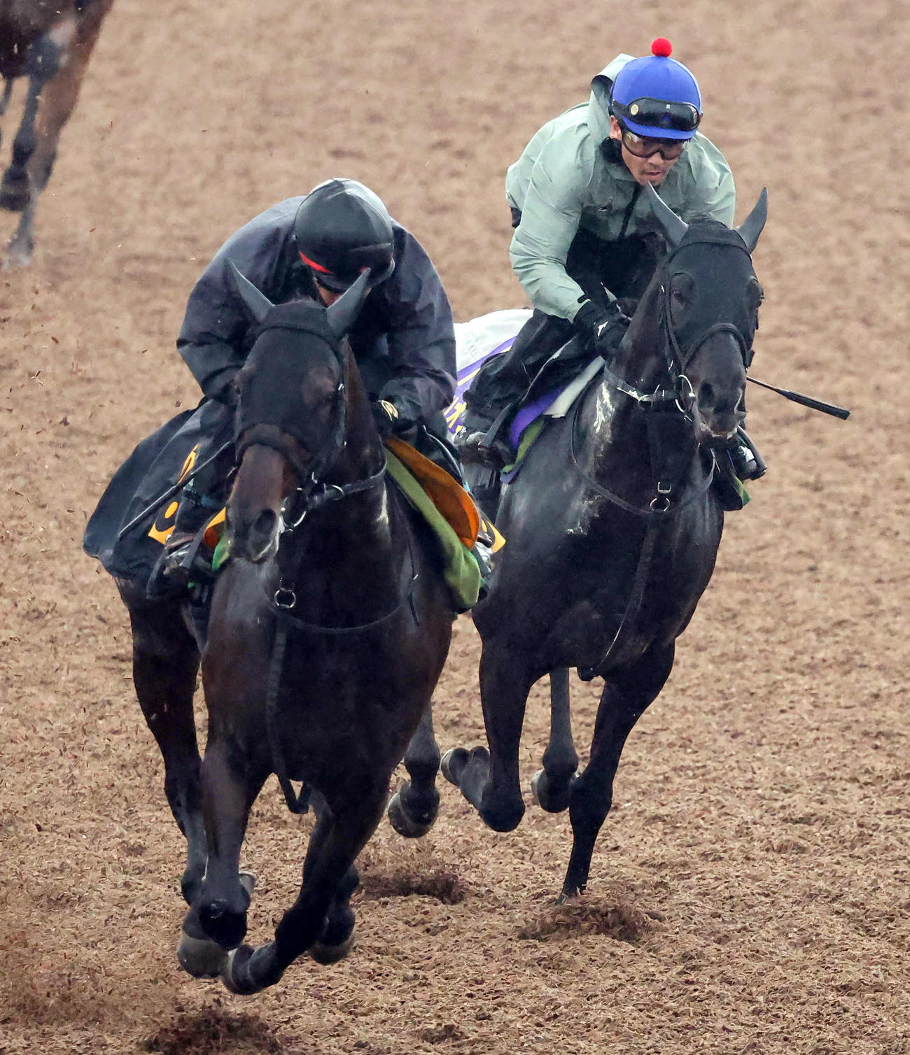 ロジリオン（右）は戸崎騎手を背に美浦ウッドでニシノライコウと併せて追い切られた（撮影・丹羽敏通）