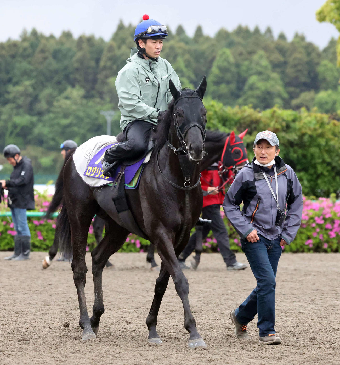 追い切りを終えて馬場を出るロジリオンと戸崎騎手。右は古賀師（撮影・丹羽敏通）