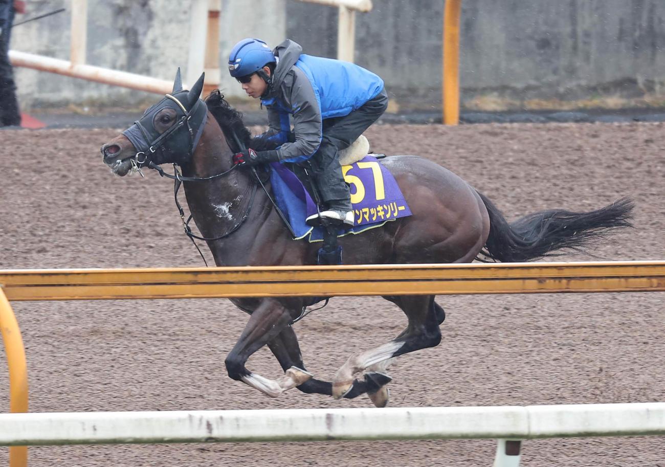 単走で追い切るダノンマッキンリー