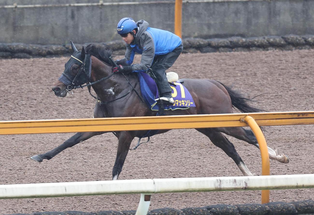 単走で追い切るダノンマッキンリー