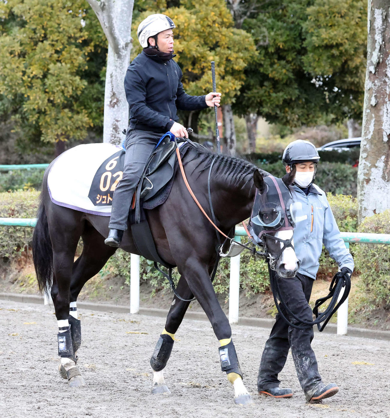 馬場へ向かうシュトラウスと北村宏騎手（撮影・丹羽敏通）
