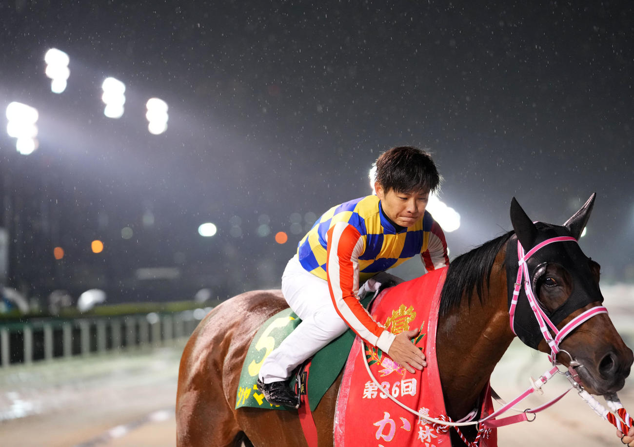 第36回かしわ記念　レース後、シャマルを労う川須栄彦騎手（撮影・横山健太）