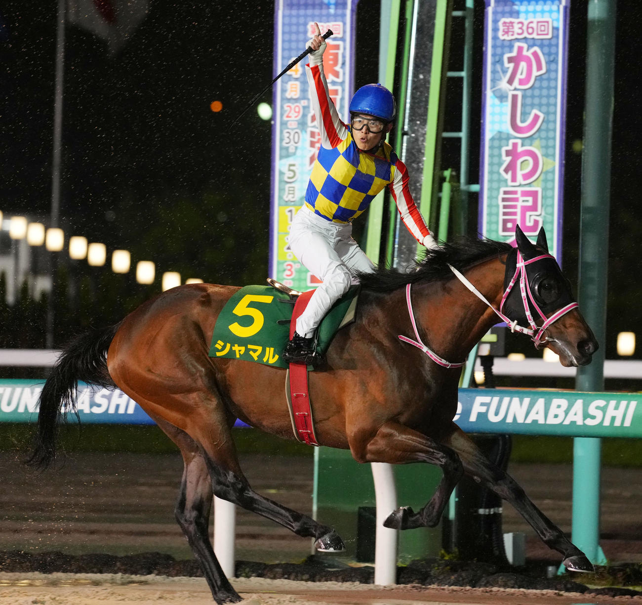 第36回かしわ記念　1着でゴールするシャマルと川須栄彦騎手（撮影・横山健太）