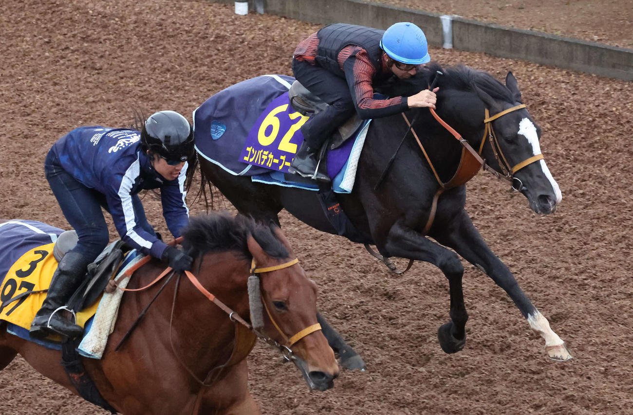 ゴンバデカーブース（奥）はモレイラ騎手を背に美浦坂路でカナテープと併せ追い切られた（撮影・丹羽敏通）