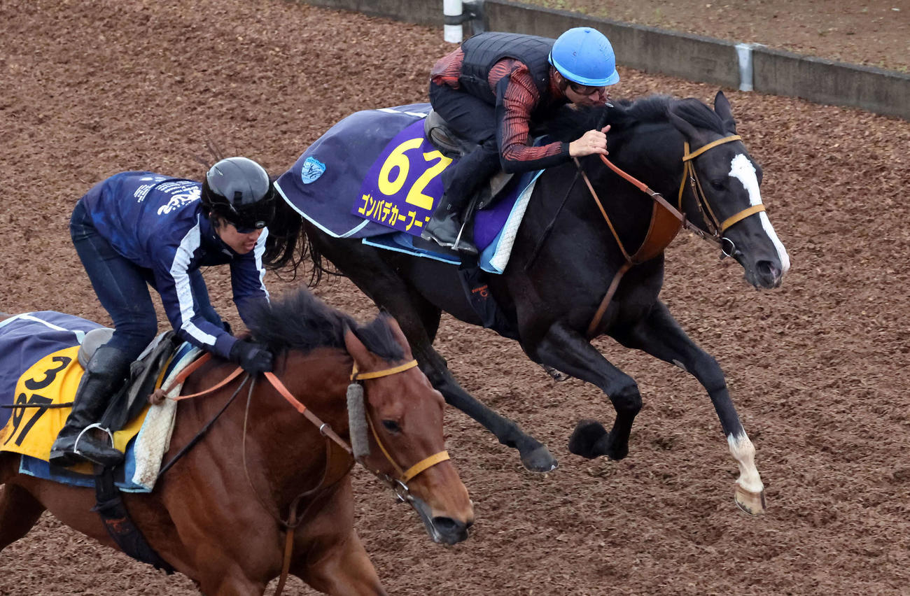 ゴンバデカーブース（奥）はモレイラ騎手を背に美浦坂路でカナテープと併せ追い切られた（撮影・丹羽敏通）
