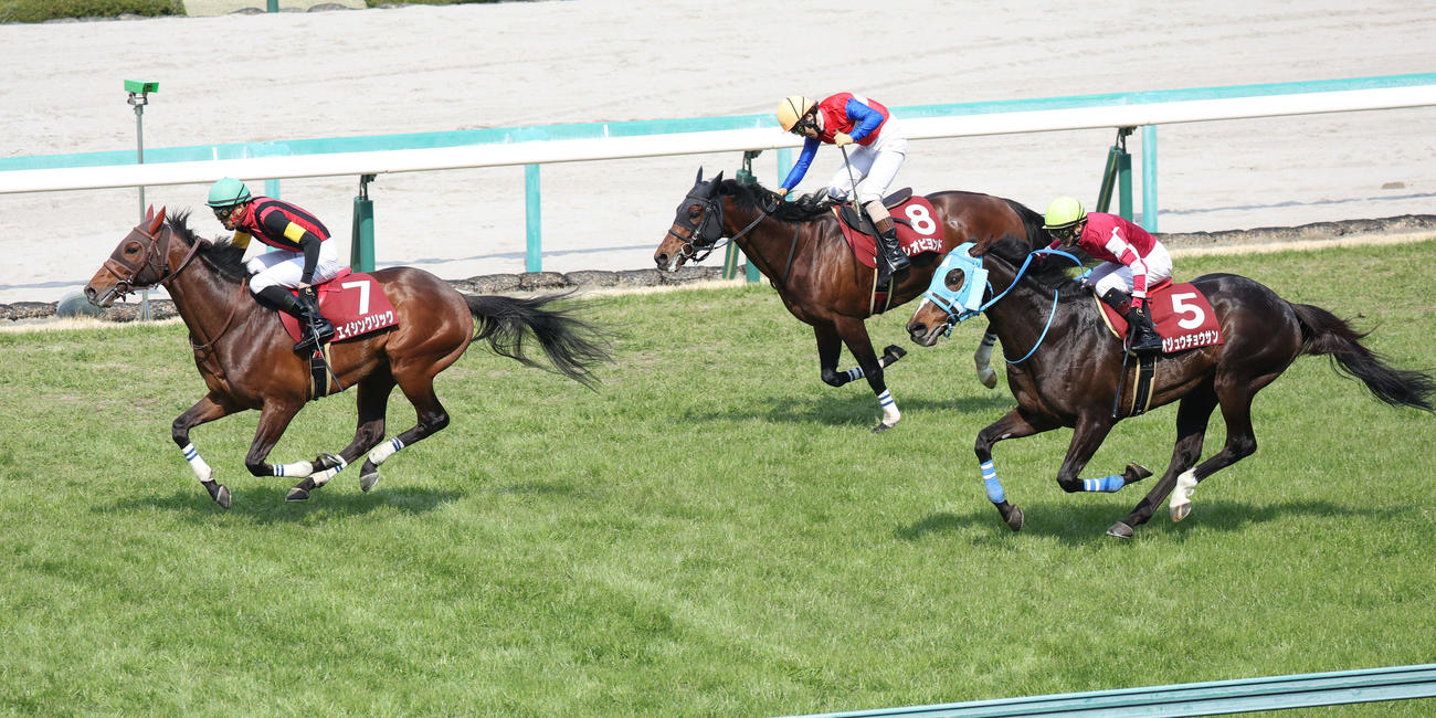 オジュウチョウサン（右）を下し、阪神スプリングJを制したエイシンクリック（2022年3月撮影）