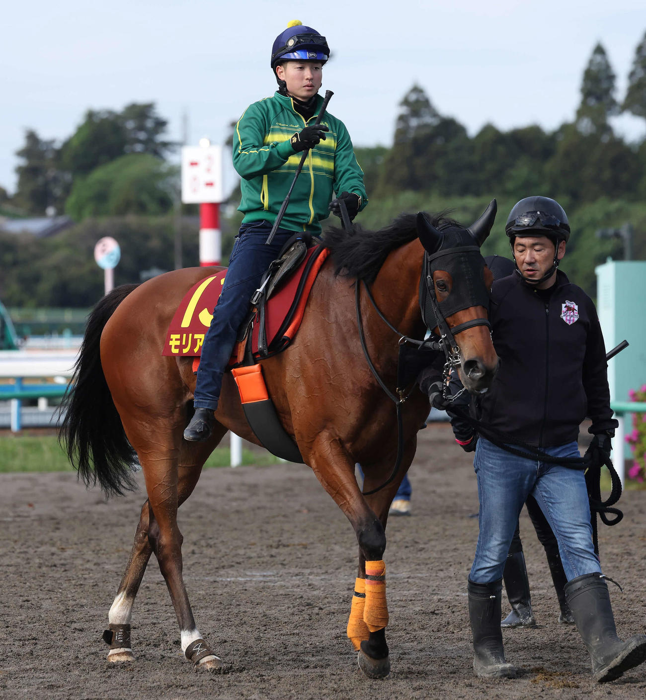 調教を終えて馬場を出るモリアーナと武藤騎手（撮影・丹羽敏通）
