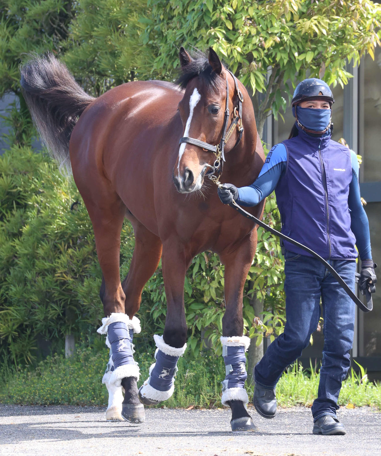 2日、運動するディスペランツァ