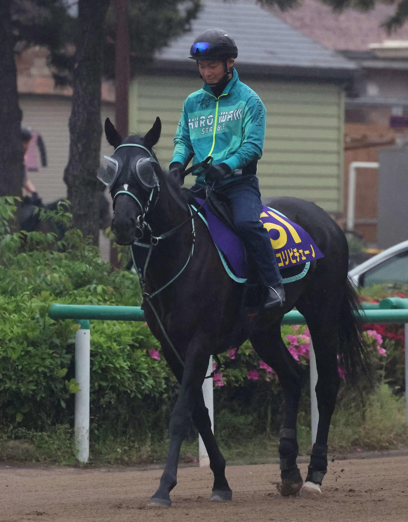 馬場へ向かうアスコリピチェーノ（撮影・丹羽敏通）
