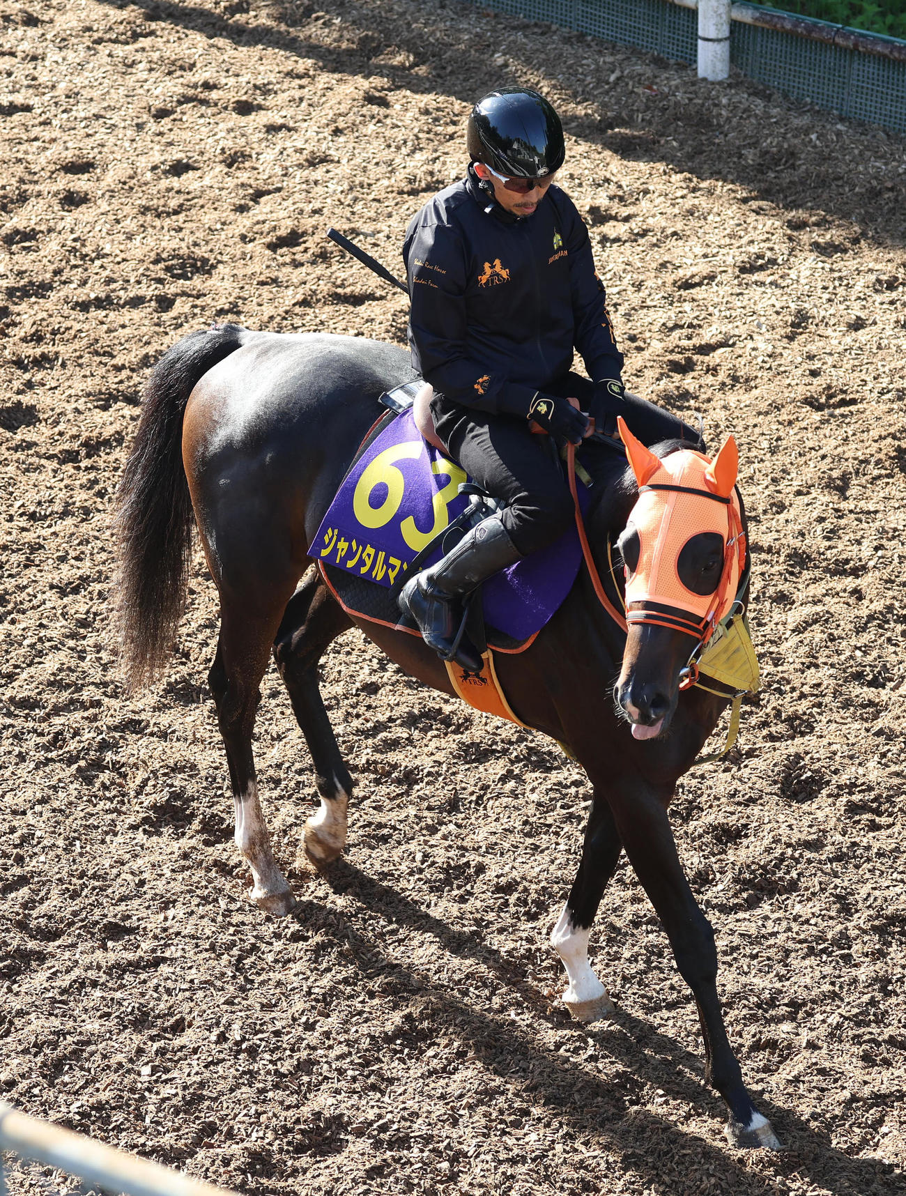 逍遥馬道で運動するジャンタルマンタル（撮影・白石智彦）