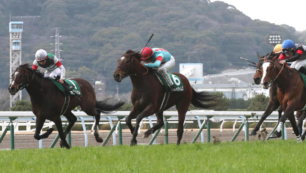23年小倉大賞典を制したヒンドゥタイムズ（中央）