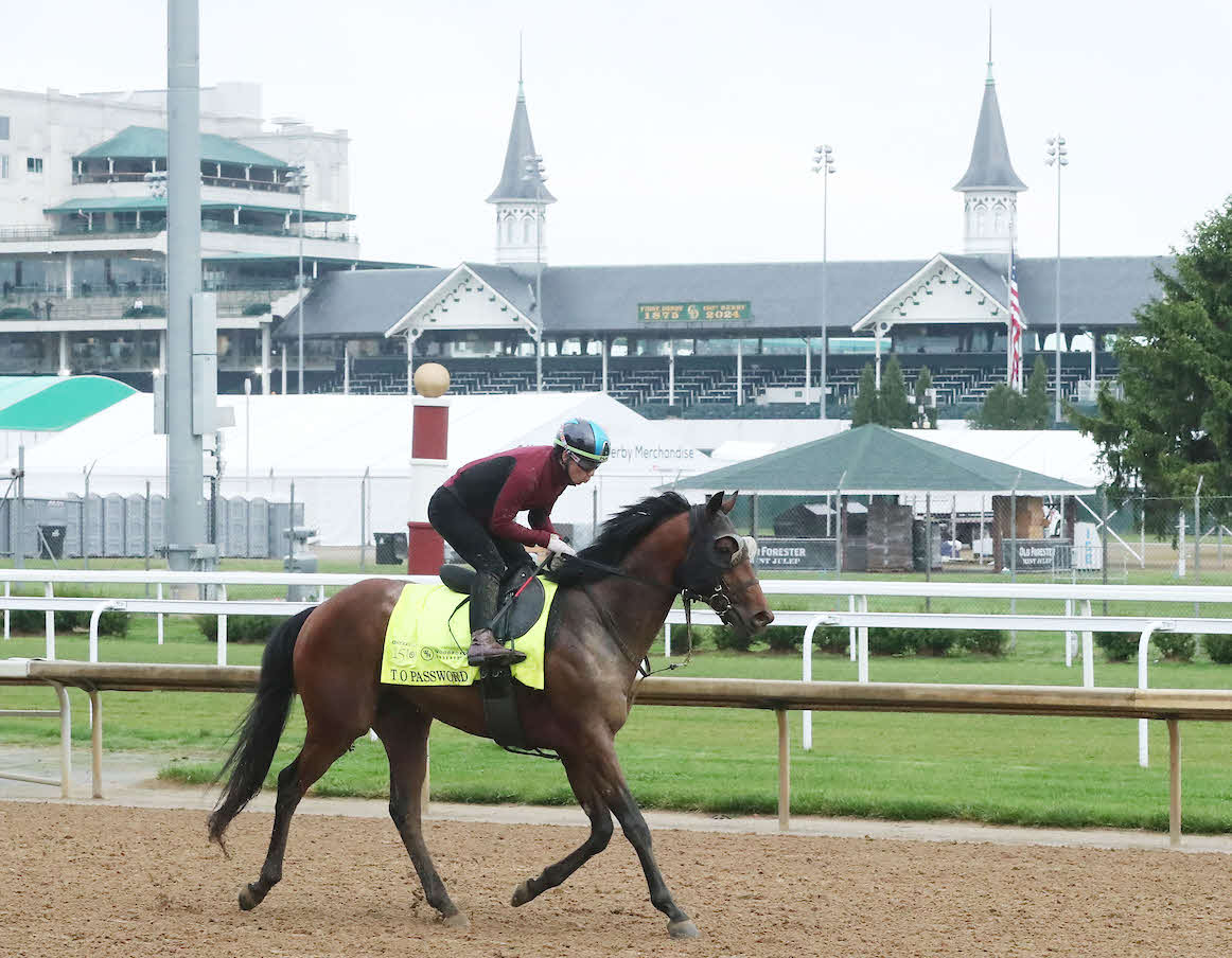 調整するテーオーパスワード（C）Coady Media／Churchill Downs