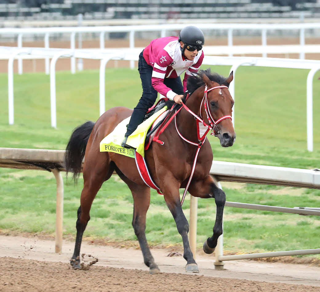 調整するフォーエバーヤング（C）Coady Media／Churchill Downs