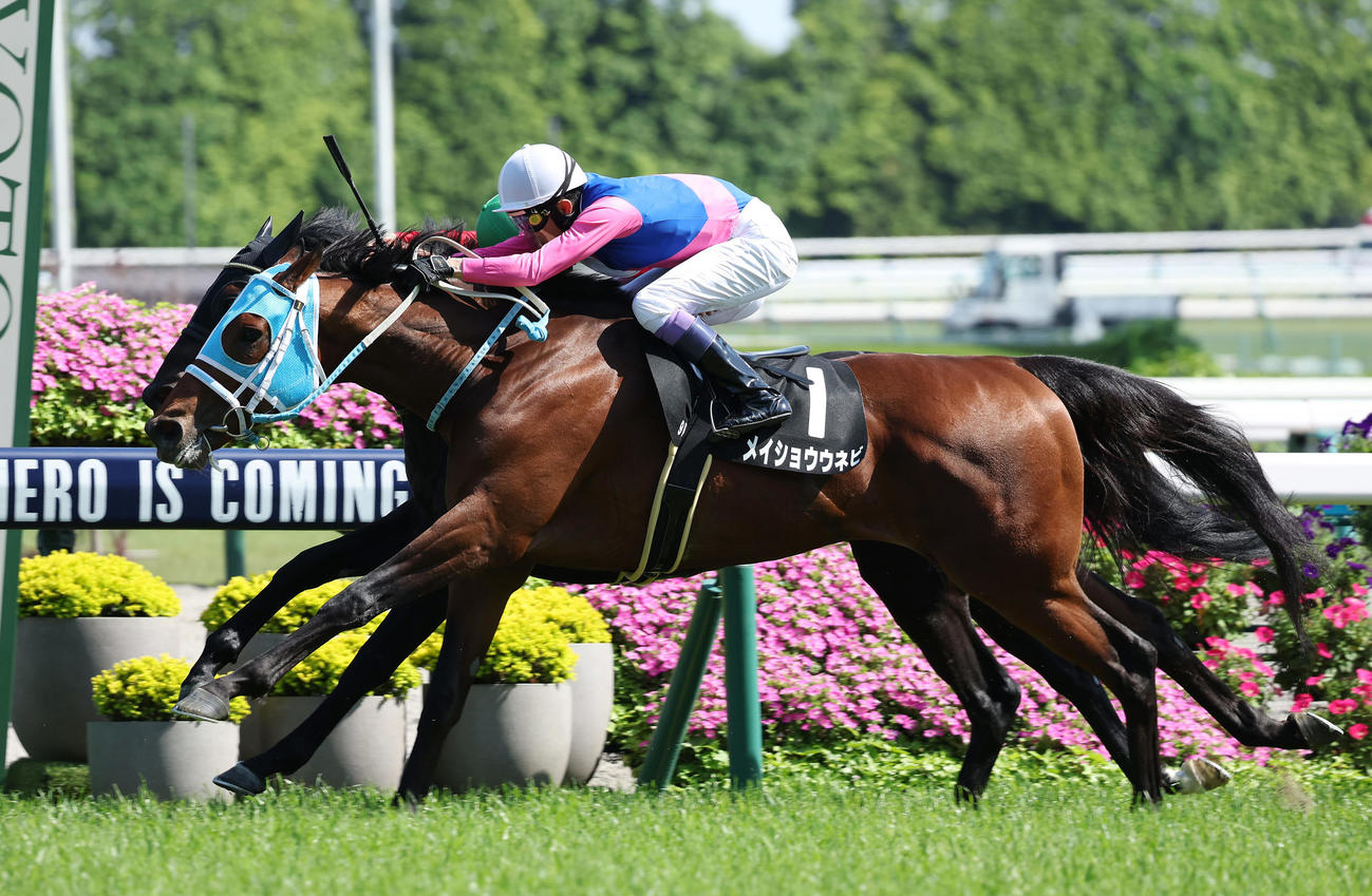 鴨川特別を制した武豊騎手騎乗のメイショウウネビ（撮影・前田充）